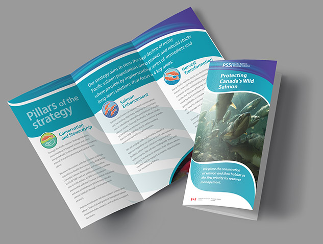 Pacific Salmon Strategy Initiative brochure